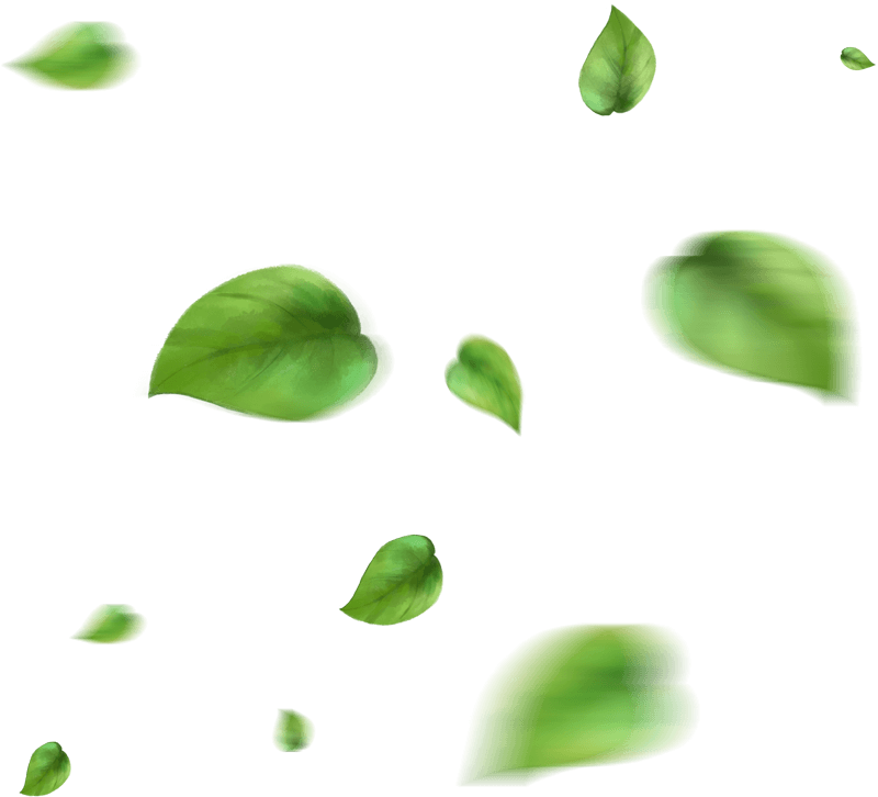 Eco Friendly Packaging